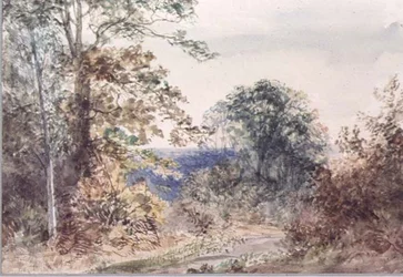 Landschaftsstudie aus der Natur